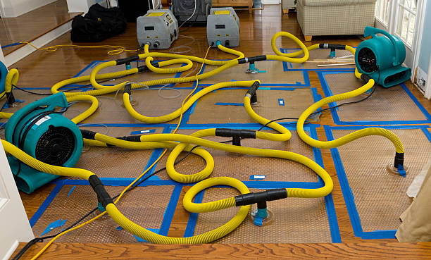 Professional Basement Flood Cleanup technician working in Blue Creek, OH